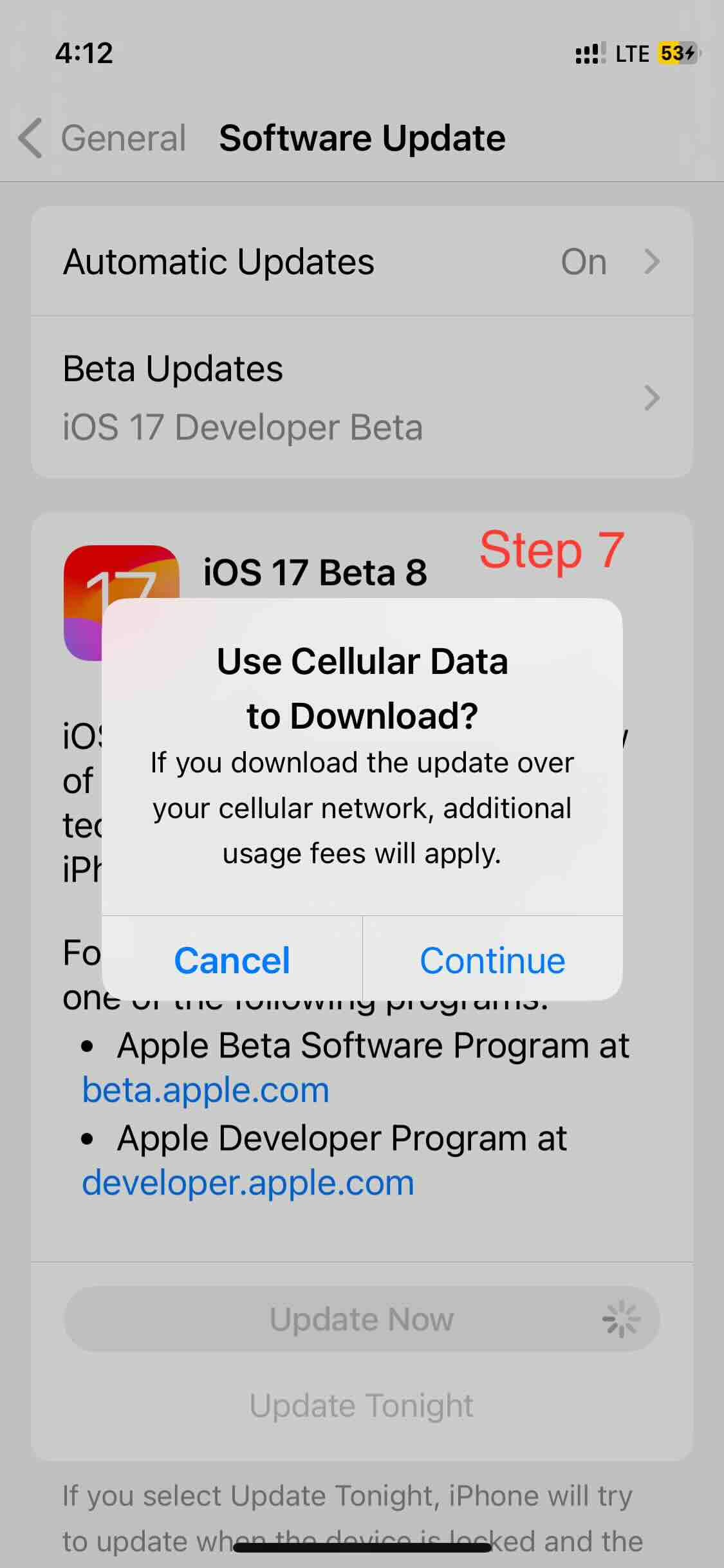 Step 7 - If Downloading over Cellular